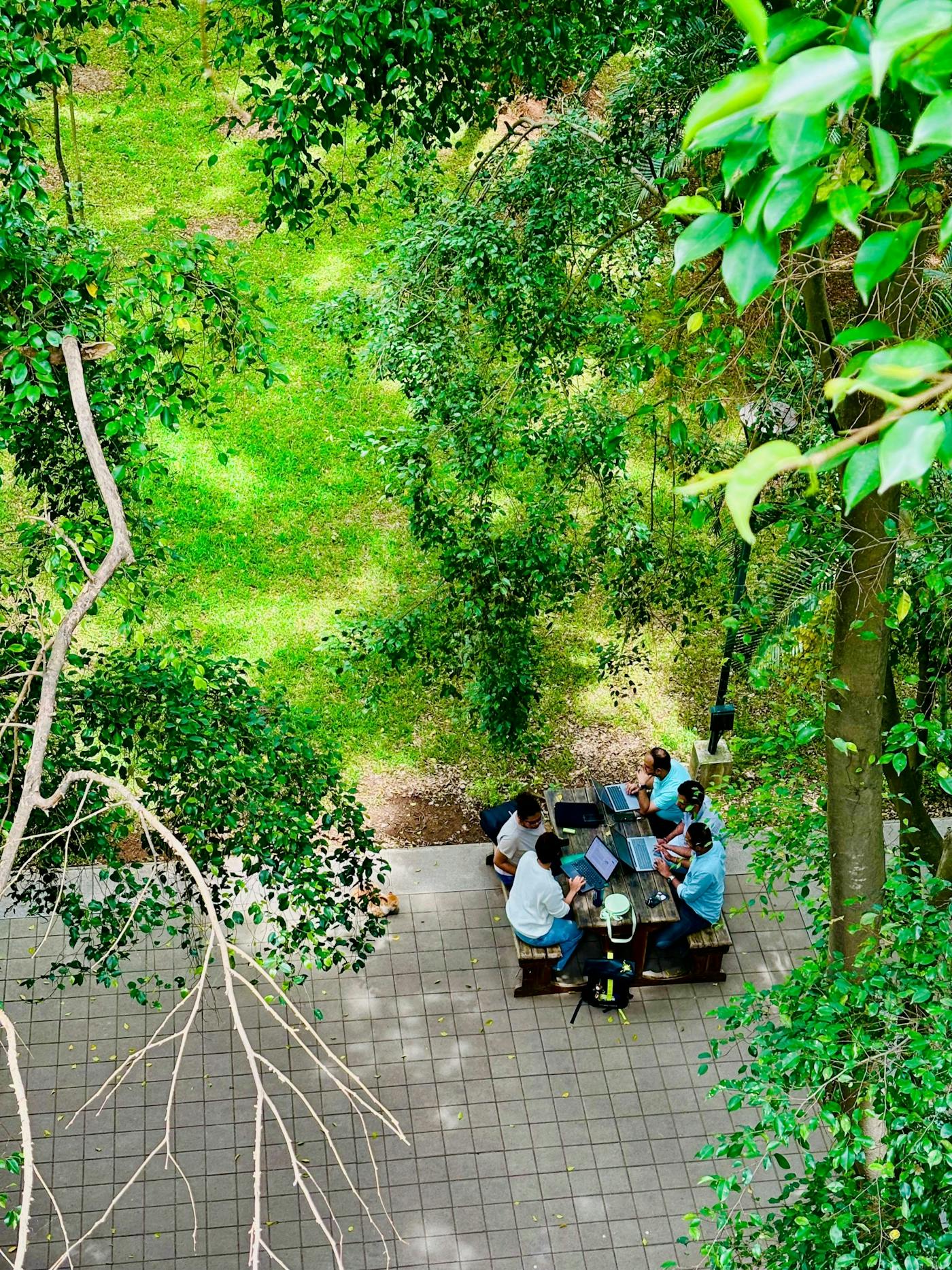 Octbe team collaborating in a green outdoor workspace that reflects Optimize, Convert, Track, Boost, and Engage